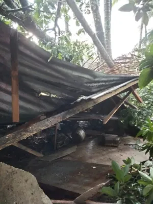 Rumah Warga Rusak Tertimpa Pohon Tumbang Diterpa Hujan dan Angin Kencang di Moga