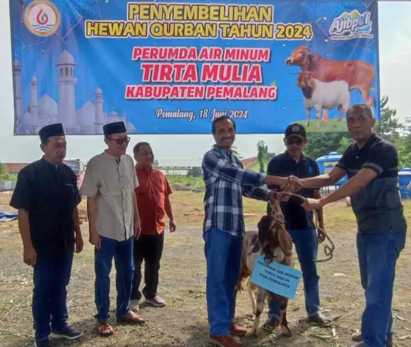 Idul Adha 1445 Hijriah, PDAM Tirta Mulia Pemalang Bagikan Puluhan Hewan Kurban 