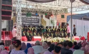 SMPN 1 Ulujami Pemalang Gelar Perpisahan Biaya per Anak Rp250 Ribu. Wali Murid : untuk Macem-macem Termasuk Ijazah