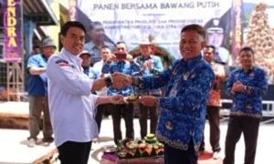 Program Kementan RI Wajib Tanam, di Pemalang Hasilnya Tak Kalah Dengan Impor