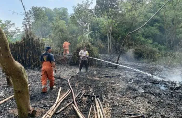 Polisi dan Petugas Damkar di Pekalongan Gerak Cepat Padamkan Kobaran Api di Area Lahan Kosong