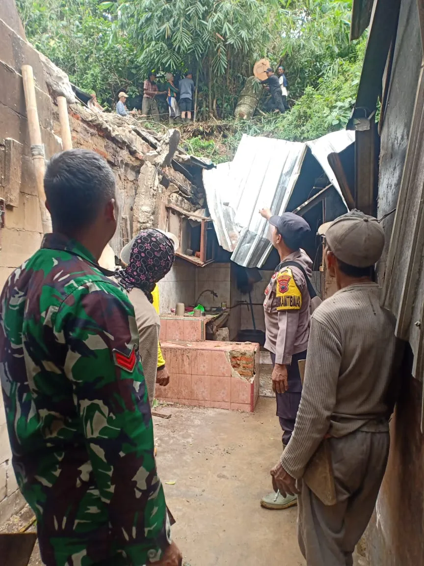 Pohon Tumbang Timpa Dua Rumah Warga Depok