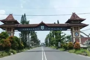 4 Oleh-oleh Kahs Pemalang dari Olahan Nanas Madu yang Menjadi Primadona