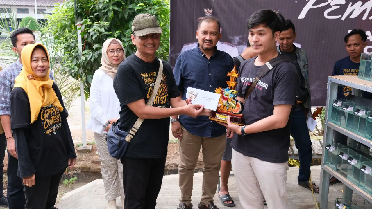 Guppy Contest Nasional Diharapkan Bisa Menambah Minat Pecinta Ikan Guppy
