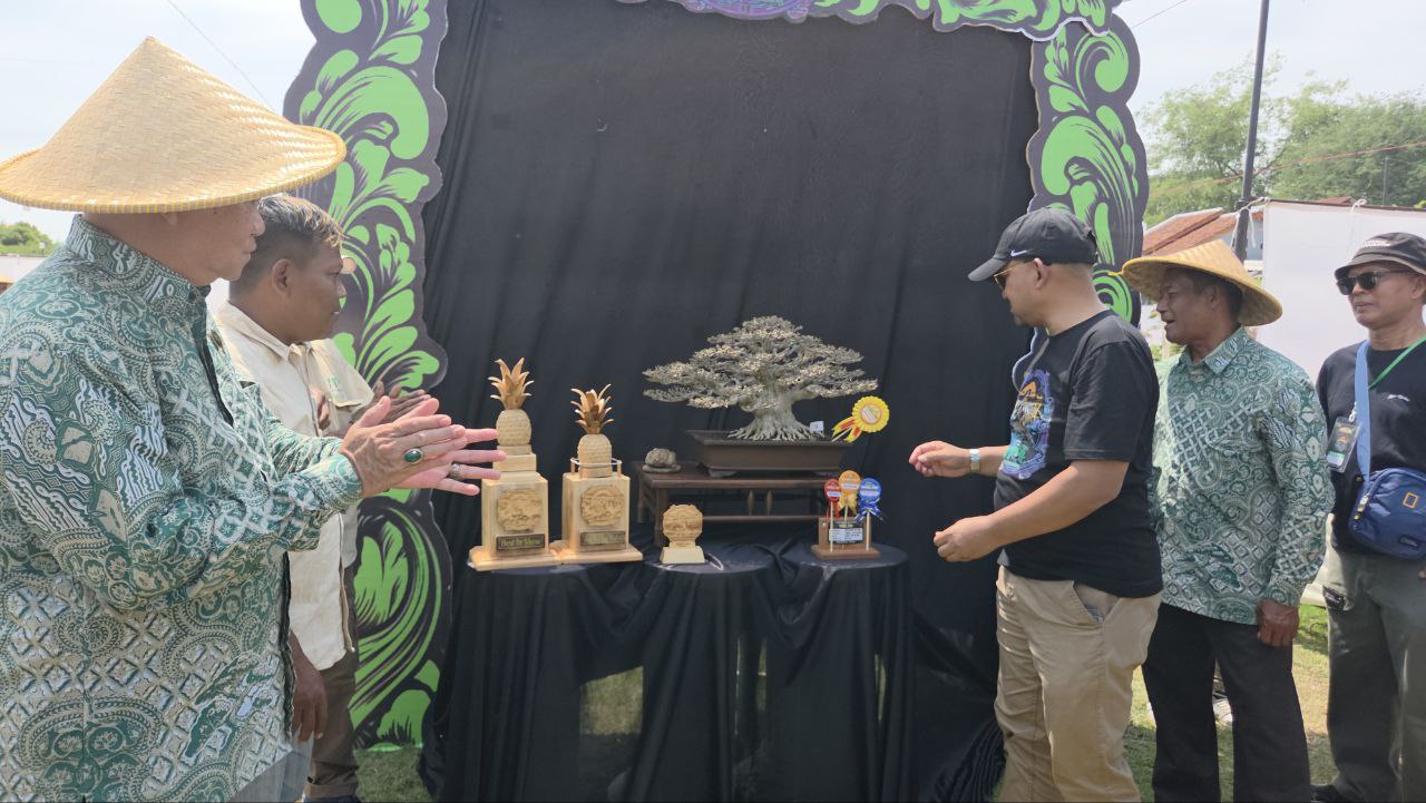 Kontes Bonsai Tingkat Nasional di Pemalang, Dibanjiri Ratusan Peserta