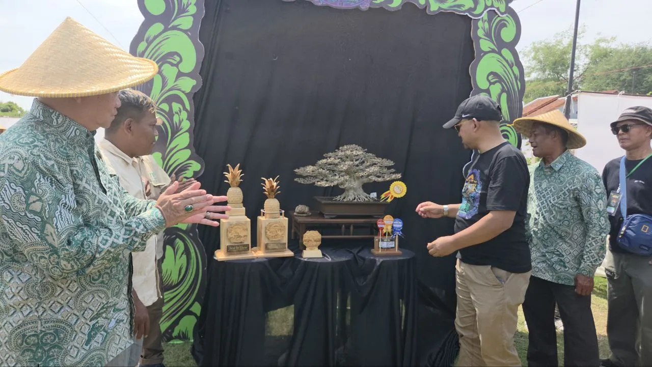 Kontes Bonsai Tingkat Nasional di Pemalang, Dibanjiri Ratusan Peserta