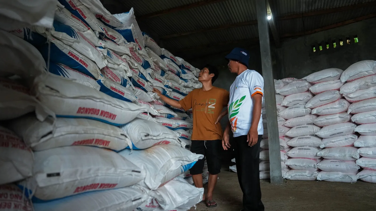 Kabar Baik Petani, Harga Pupuk Turun 20%: Apalagi Sekarang HET Padi Sudah Bagus