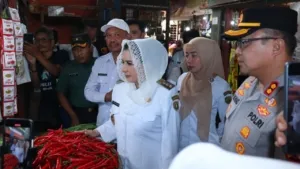 Fadia Arafiq: Cabai Melonjak Hampir Dua Kali Lipat, Pemerintah Siap Intervensi!