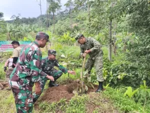 Gerakan Tanam Pohon di Lahan Kritis, Dihadiri Dandim Pemalang