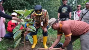Antisipasi Bencana, Forkopimda Pemalang Lakukan Tanam Pohon di Pulosari