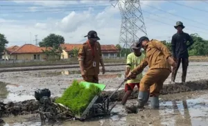 Dukung Ketahanan Pangan, Pemkab Pemalang Beri bantuan Benih Padi Unggul
