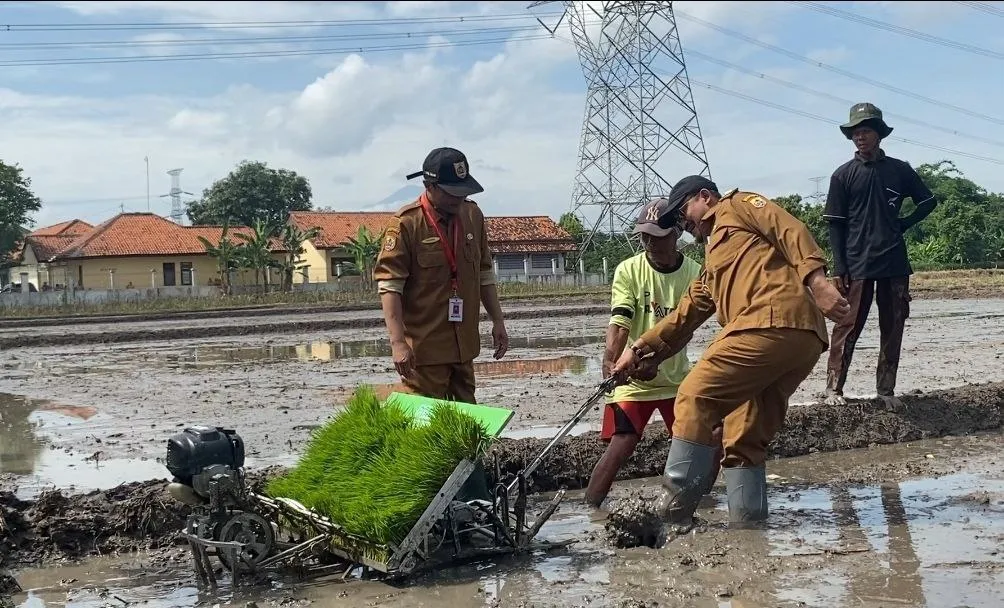Dukung Ketahanan Pangan, Pemkab Pemalang Beri bantuan Benih Padi Unggul