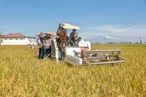 Target Nasional Terlampaui, Jawa Tengah Siap Jadi Penyangga Pangan Indonesia