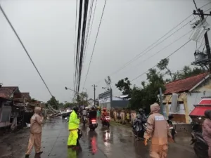 Hujan Deras Disertai Angin Kencang Tumbangkan Pohon, Tiang Listrik Roboh dan Sejumlah Fasilitas Umum Rusak