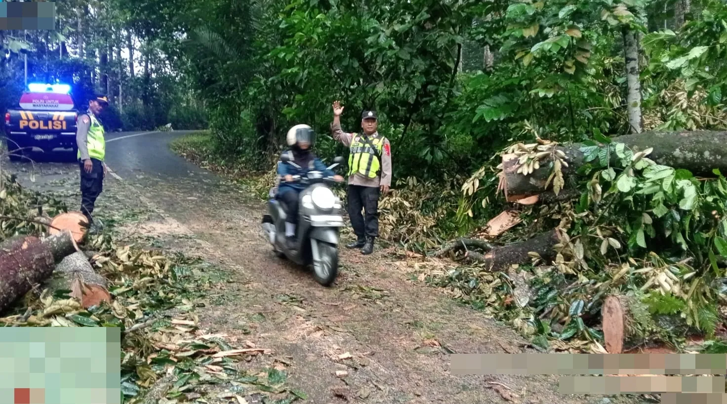 Pohon Durian Tumbang Tutup Jalur Karanganyar–Lebakbarang, Lalu Lintas Sempat Tersendat