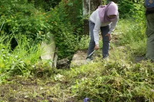 Persiapkan Sekolah Rakyat, Bupati Pemalang Pimpin Aksi Jumat Bersih di Eks PG Sumberharjo