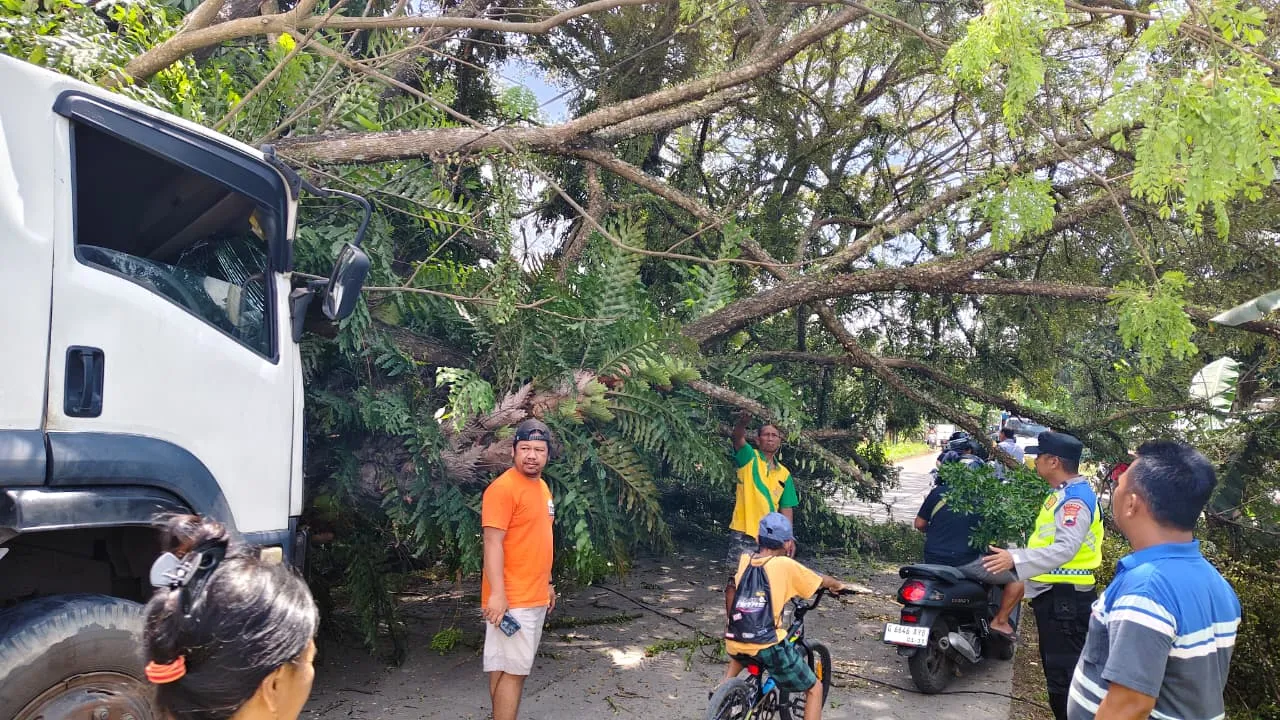 Gerak Cepat Polsek Bojong Evakuasi Pohon Tumbang Akibat Laka Tunggal di Sembungjambu