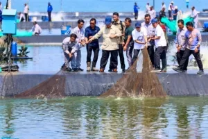Presiden Panen Udang di Kebumen, Gubernur Luthfi: Perikanan Jateng Menjanjikan
